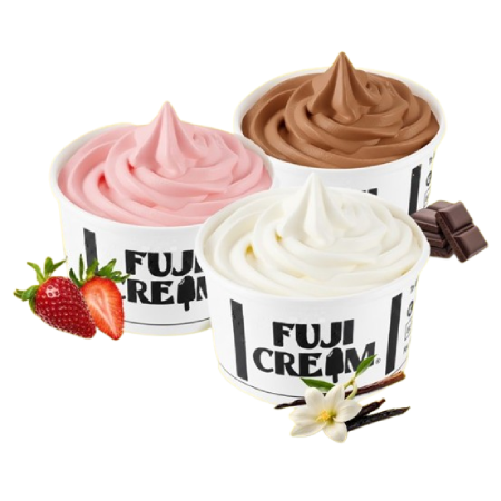 fuji1